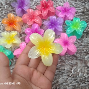 Kathgulap claw clip