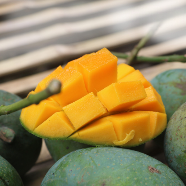 হিমসাগর (প্রিমিয়াম)